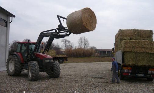 VOGHERA 14/03/2017: Aiuti ad animali e agricoltori terremotati. Partono altri 2 camion. La veterinaria Bonino ringrazia tutti. Ma non è finita. La ricostruzione lenta potrebbe rendere necessario l’invio di aiuti anche nel prossimo inverno