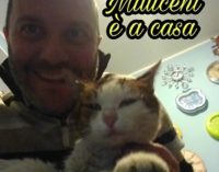 VOGHERA 03/03/2017: Fabio ha ritrovato la gatta Milli. Anche grazie a VogheraNews :-)
