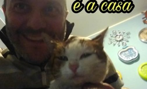 VOGHERA 03/03/2017: Fabio ha ritrovato la gatta Milli. Anche grazie a VogheraNews :-)