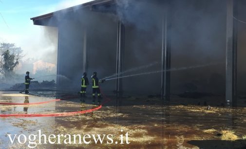 VOGHERA 09/03/2017: Le fiamme divorano un capannone di fieno in strada Ferretta. FOTO e VIDEO