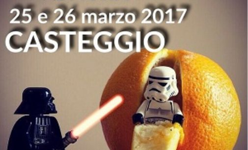 CASTEGGIO 01/03/2017: Torna la mostra dei LEGO. Alla Certosa Cantù le creazioni fatte con gli storici mattoncini