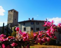 VARZI 12/04/2017: Mostra Mercato di Primavera. Nei giardini del Castello Malaspina Artigianato e alimentari di qualità