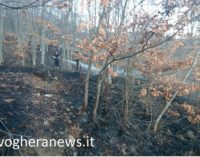 BRALLO 09/04/2017: L’alta valle Staffora sotto attacco dei piromani. Ieri colpito il monte Penice. Oggi il Monte Alpe