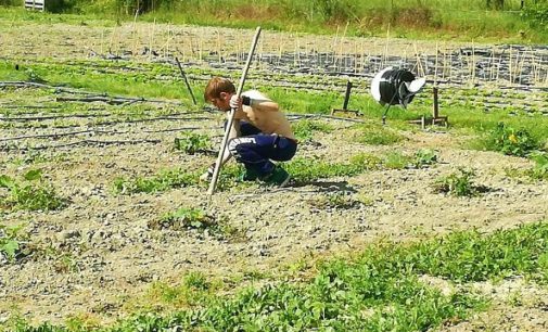 VOGHERA 19/05/2017: Agricoltura Sociale in Lombardia. L’esempio positivo degli Orti sociali di Voghera. La storia di Roberto. In provincia di Pavia avviati 13 progetti