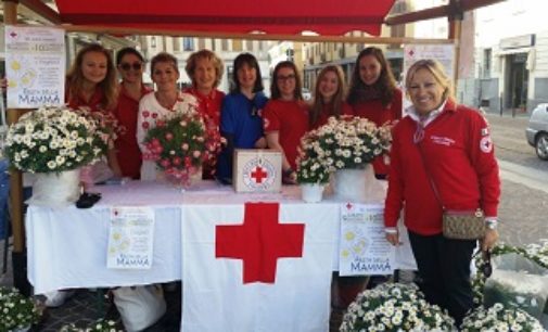 VOGHERA 11/05/2017: Sabato e Domenica. Margherite benefiche in piazza con la Croce Rossa