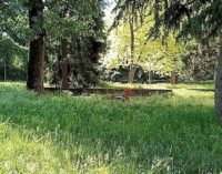 VOGHERA 16/05/2017: Via Bellini. Un lettore: Nei giardini i giochi sono sommersi dall’erba