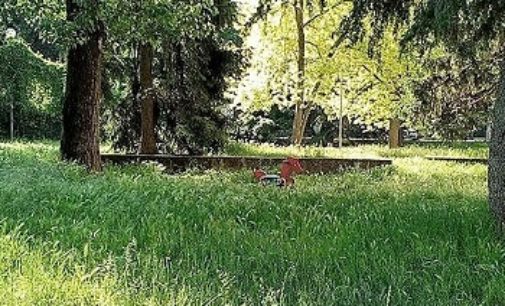 VOGHERA 16/05/2017: Via Bellini. Un lettore: Nei giardini i giochi sono sommersi dall’erba