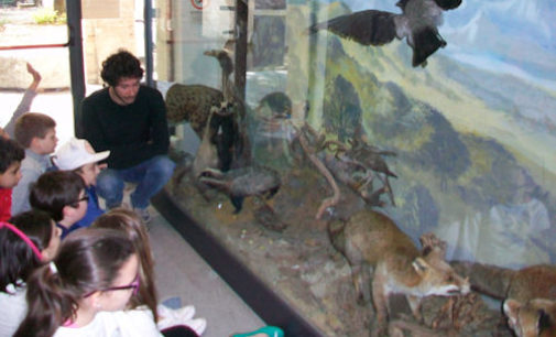 VOGHERA 09/06/2017: Museo di Scienze Naturali. Prorogata al 14 l’iscrizione al corso per operatori e volontari museali