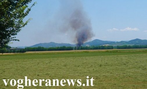 VOGHERA 22/06/2017: Incendio nel pomeriggio di oggi in aperta campagna. Bruciato del grano