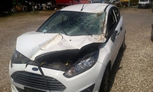 RIVANAZZANO 19/07/2017: Auto centra in pieno un albero caduto sulla carreggiata