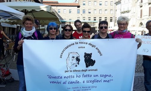 PAVIA VOGHERA 29/09/2017: L’abbandono degli animali tragica realtà. LEAL Pavia e LAV Oltrepò Pavese insieme per contrastare il randagismo e per favorire le adozioni presso i rifugi