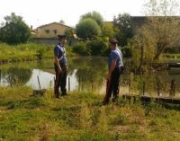 SANNAZZARO 06/09/2017: Rubavano pesci. Ladri presi dai carabinieri con le mani nell’…acqua