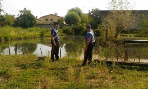 SANNAZZARO 06/09/2017: Rubavano pesci. Ladri presi dai carabinieri con le mani nell’…acqua