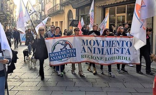 PAVIA VOGHERA VIGEVANO 29/10/2017: Per non essere fra chi (solo per essere “alla moda”) è complice di chi uccide milioni di animali. Corteo anti-pellicce e anti-inserti in pelliccia ieri in centro città