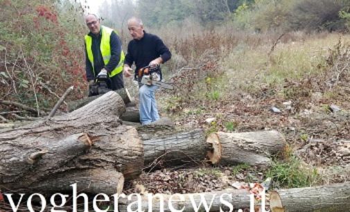 VOGHERA 20/10/2017: La Protezione Civile rimuove un tronco pericoloso dal torrente Staffora