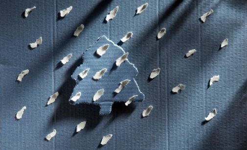 VOGHERA 27/11/2017: “Un albero per Natale”. Da Spazio 53 la Mostra fotografica di Franco Canziani e Marco Moggio