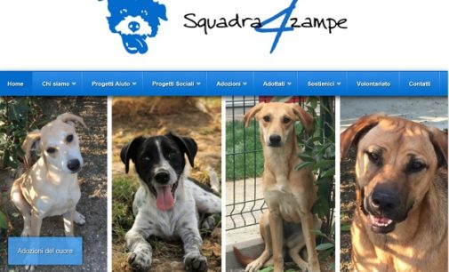VIDIGULFO PAVIA OLTREPO 02/11/2017: In provincia di Pavia è arrivata l’associazione “Squadra 4 Zampe”. Serve l’aiuto di tutti per dare una casa ai cani ospitati dalla Onlus