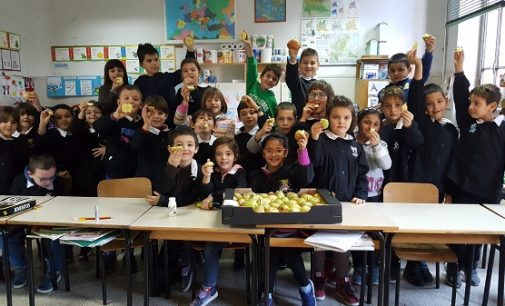 VOGHERA 11/12/2017: Più frutta e verdura nelle scuole. Alla Primaria De Amicis parte la distribuzione “per un’educazione alimentare sana e corretta”