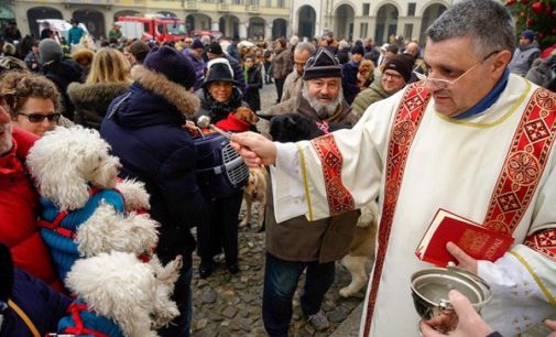 VOGHERA 15/01/2018: Ieri la Benedizione degli Animali in piazza Duomo. Intanto il Canile/Gattile Enpa “scoppia” per i troppi abbandoni. Urgono famiglie che adottino cani e gatti