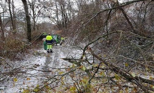 ALTO OLTREPO 11/01/2018: Gelicidio. La Regione promette di intervenire e stima i danni in “2 milioni di euro”. Bordonali: “Valutiamo via più breve per ottenere fondi”