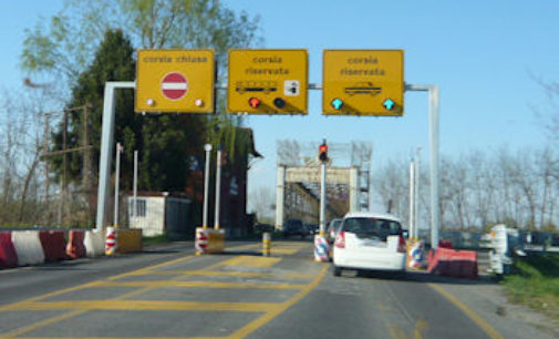 MEZZANINO 19/01/2021: Cani vaganti sul ponte della Becca. Segnalazione