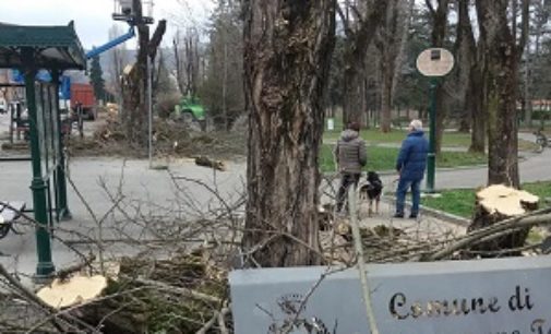 RIVANAZZANO 28/03/2018: Proteste per le piante tagliate. Il Comune: erano malate