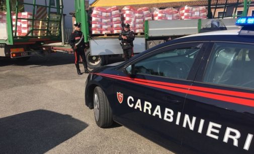 VOGHERA 20/04/2018: Maxi furto ad “Apsov Sementi”. I carabinieri recuperano 100mila euro di concime agricolo