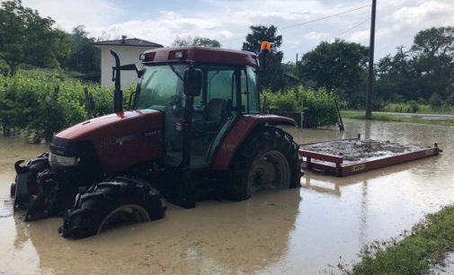 TORRAZZA COSTE OLTREPO 13/06/2018: Maltempo. Grandine sul Pavese. Coldiretti: “Danneggiato fino al 70% delle vigne colpite”