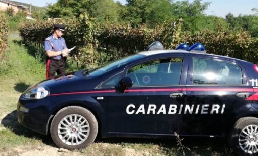 ROVESCALA 27/09/2018: Carabinieri nelle vigne contro il “caporalato”. Arresti e denunce in 3 Comuni