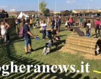 MONTEBELLO 24/09/2018: Inaugurata Domenica “Dogland” del Centro Commerciale Montebello: l’area dedicata allo sgambamento cani con zona per l’”Agility”