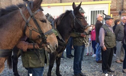 VARZI 22/09/2026: Alpini. Celebrazioni al Tempio della Fraternità. Varzi e Cella ricordano i caduti e inaugurano la piazzetta dedicata a Don Adamo Accosa
