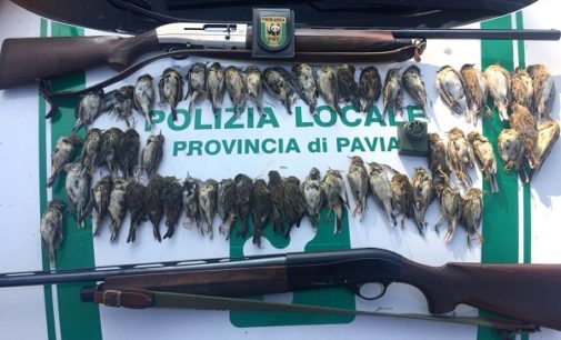 PAVIA 19/10/2018: In meno di un’ora sterminano 47 uccelli protetti. Denunciati due bresciani. Ecco come segnalare a WWF e Polizia Provinciale casi di bracconaggio