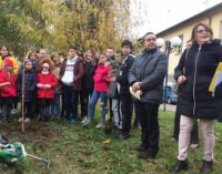 VOGHERA 21/11/2018: Per la Giornata dell’Albero tour nelle scuole del Presidente del Consiglio Affronti e dell’assessore Panigazzi
