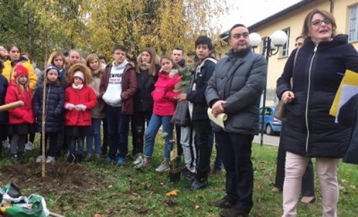 VOGHERA 21/11/2018: Per la Giornata dell’Albero tour nelle scuole del Presidente del Consiglio Affronti e dell’assessore Panigazzi