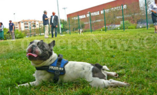 VOGHERA 07/11/2018: Un’area cani nel quartiere Sud. Per i residenti la chiede l’Italia del Rispetto