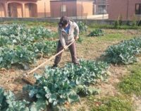 VOGHERA 07/12/2018: ” È bello prendersi cura di qualcosa”. Agricoltura sociale. L’esperienza dei ragazzi del Centro Diurno Disabili cittadino agli Orti sociali