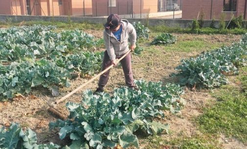 VOGHERA 07/12/2018: ” È bello prendersi cura di qualcosa”. Agricoltura sociale. L’esperienza dei ragazzi del Centro Diurno Disabili cittadino agli Orti sociali