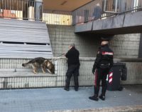 PAVIA 29/01/2019: Droga a scuola. Passati al setaccio coi cani antidroga 4 istituti superiori