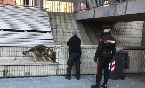 PAVIA 29/01/2019: Droga a scuola. Passati al setaccio coi cani antidroga 4 istituti superiori