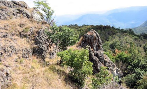 ROMAGNESE BRALLO 16/01/2019: Monte Lesima e Pietra Corva. La loro ricchissima Biodiversità ora è “Patrimonio europeo”