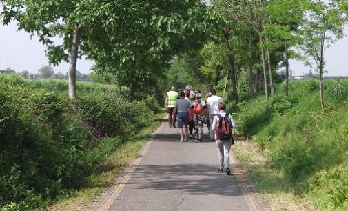 VOGHERA RIVANAZZANO BAGNARIA VARZI 05/03/2019: GreenWay. Attivata la fase operativa per il completamento della pista ciclo-pedonale. Lanciato dalla Provincia un appalto da 2.2 milioni (Iva esclusa)