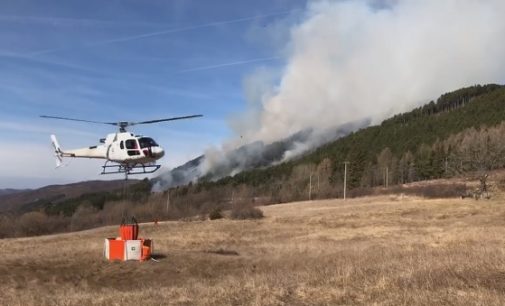 PAVIA VOGHERA 01/07/2019: Incendi di bosco estivi. La Prefettura spiega cosa fare e quanto costa trasgredire. Un vademecum per Istituzioni e i Cittadini