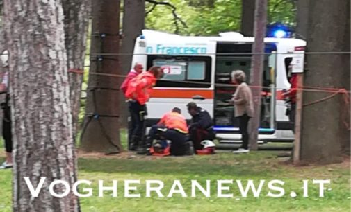 SALICE TERME 21/04/ 2019: Ragazzino cade dall’albero al parco. Ricoverato ad Alessandria in codice giallo