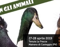 CASTEGGIO 28/04/2019: Lettera sulla manifestazione: “Vivere con gli animali. “Chi vuole vivere con gli animali, vada nei luoghi opportuni…”