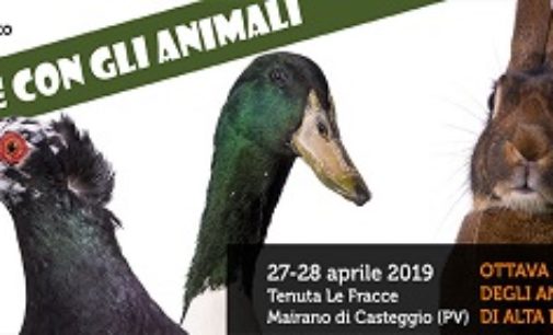 CASTEGGIO 28/04/2019: Lettera sulla manifestazione: “Vivere con gli animali. “Chi vuole vivere con gli animali, vada nei luoghi opportuni…”