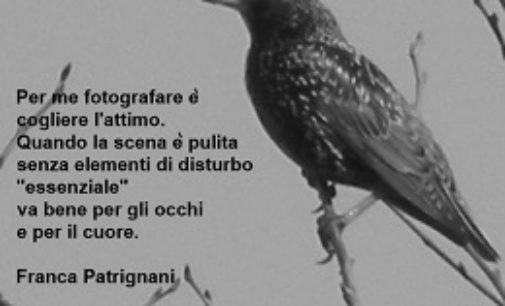 RIVANAZZANO 17/04/2019: Fotografia. All’ex Stazione Ferroviaria di Salice la mostra di Francesca Patrignani.