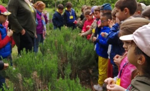 VOGHERA 21/05/2019: Alla Scuola Primaria De Amicis si coltivano i “pensieri”