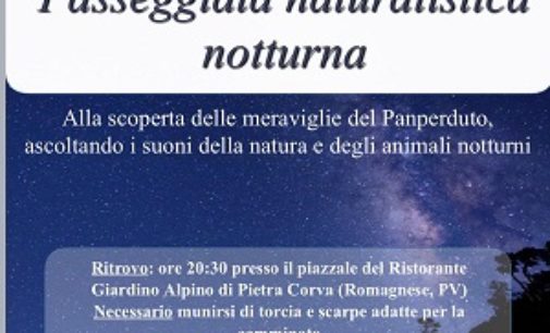 ROMAGNESE VOGHERA 21/06/2019: Oggi la camminata notturna al Panperduto organizzata dal Museo