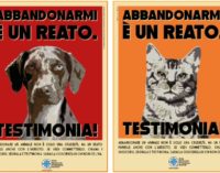 PAVESE OLTREPO 12/06/2019: Abbandonare cani e gatti è un reato. ENPA lancia la campagna di sensibilizzazione. Chi assiste ad un abbandono lo denunci!