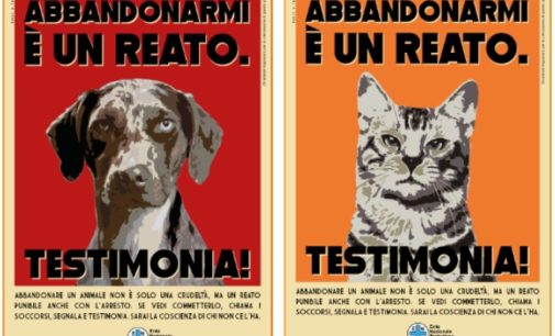 PAVESE OLTREPO 12/06/2019: Abbandonare cani e gatti è un reato. ENPA lancia la campagna di sensibilizzazione. Chi assiste ad un abbandono lo denunci!